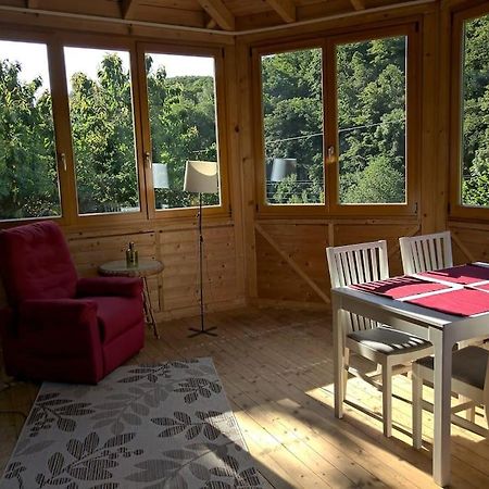 Idyllische Ferienwohnung In Zentrumsnaehe Dresde Exterior foto