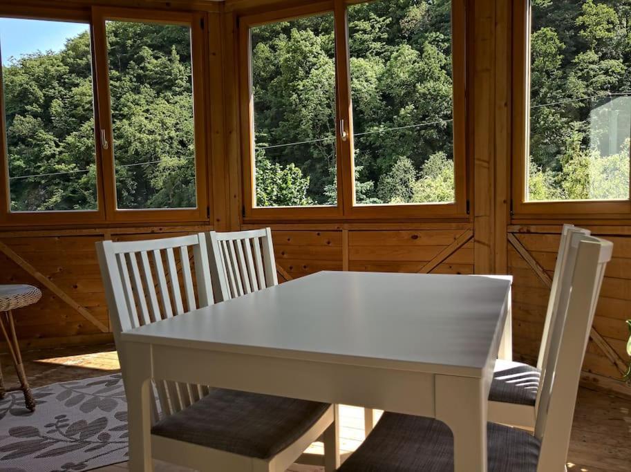Idyllische Ferienwohnung In Zentrumsnaehe Dresde Exterior foto