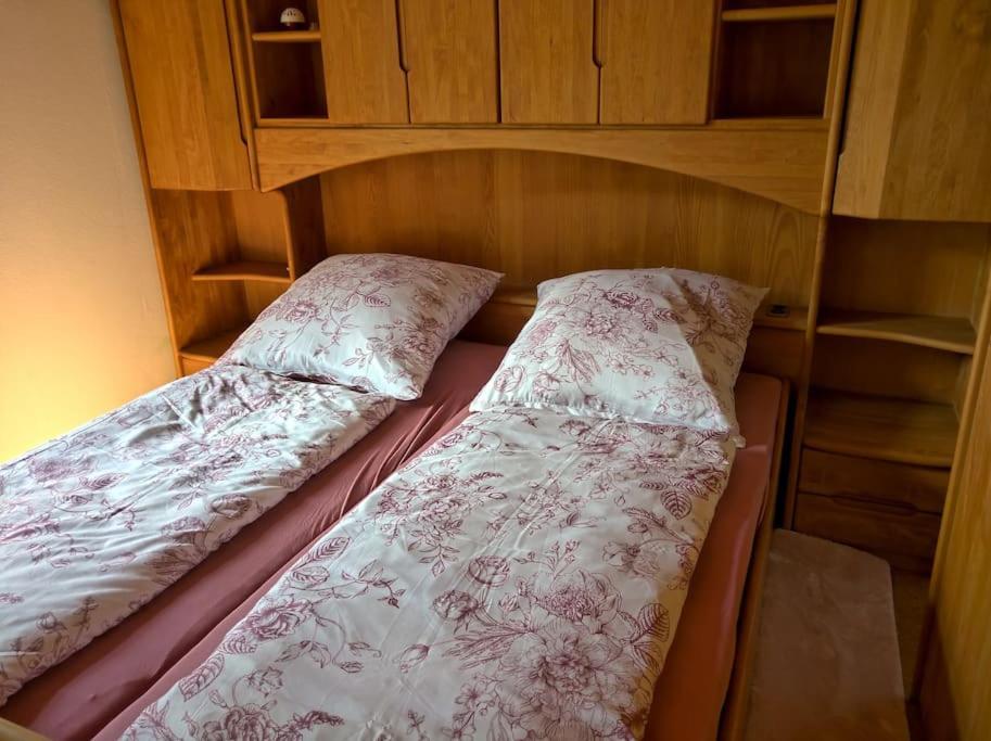 Idyllische Ferienwohnung In Zentrumsnaehe Dresde Exterior foto