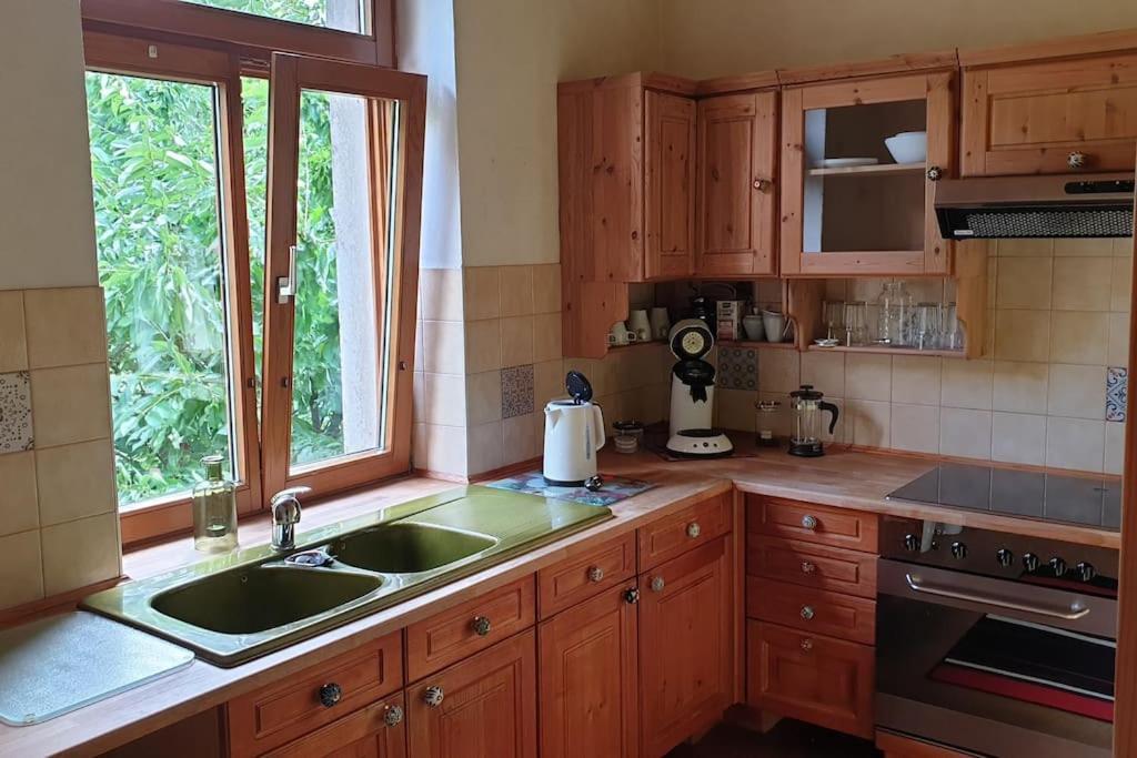 Idyllische Ferienwohnung In Zentrumsnaehe Dresde Exterior foto