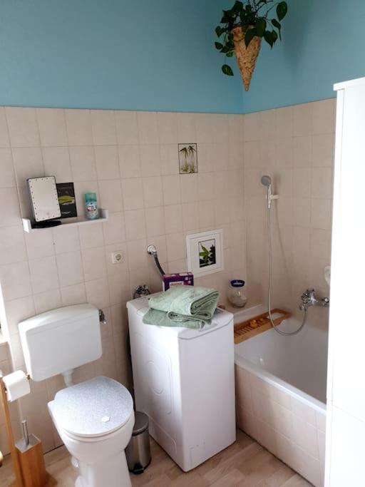 Idyllische Ferienwohnung In Zentrumsnaehe Dresde Exterior foto