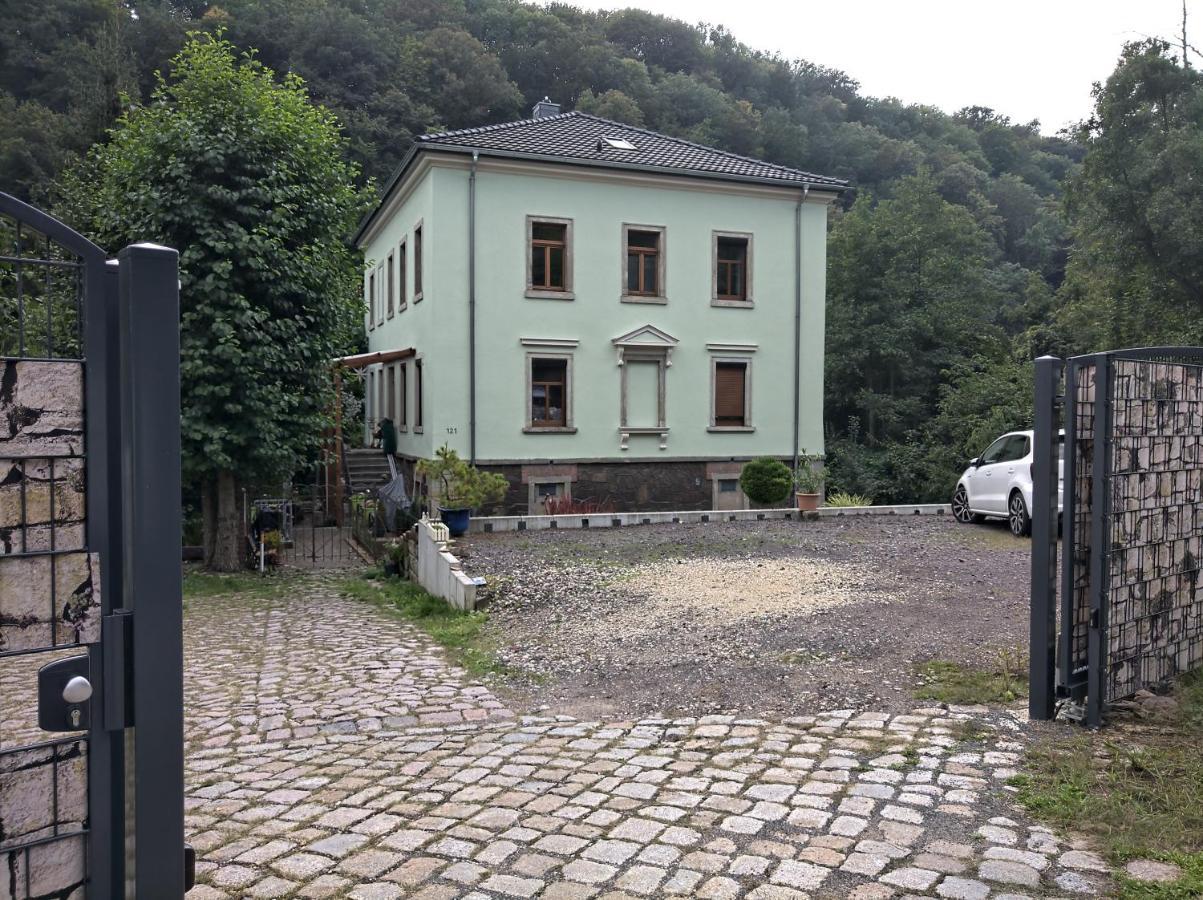 Idyllische Ferienwohnung In Zentrumsnaehe Dresde Exterior foto